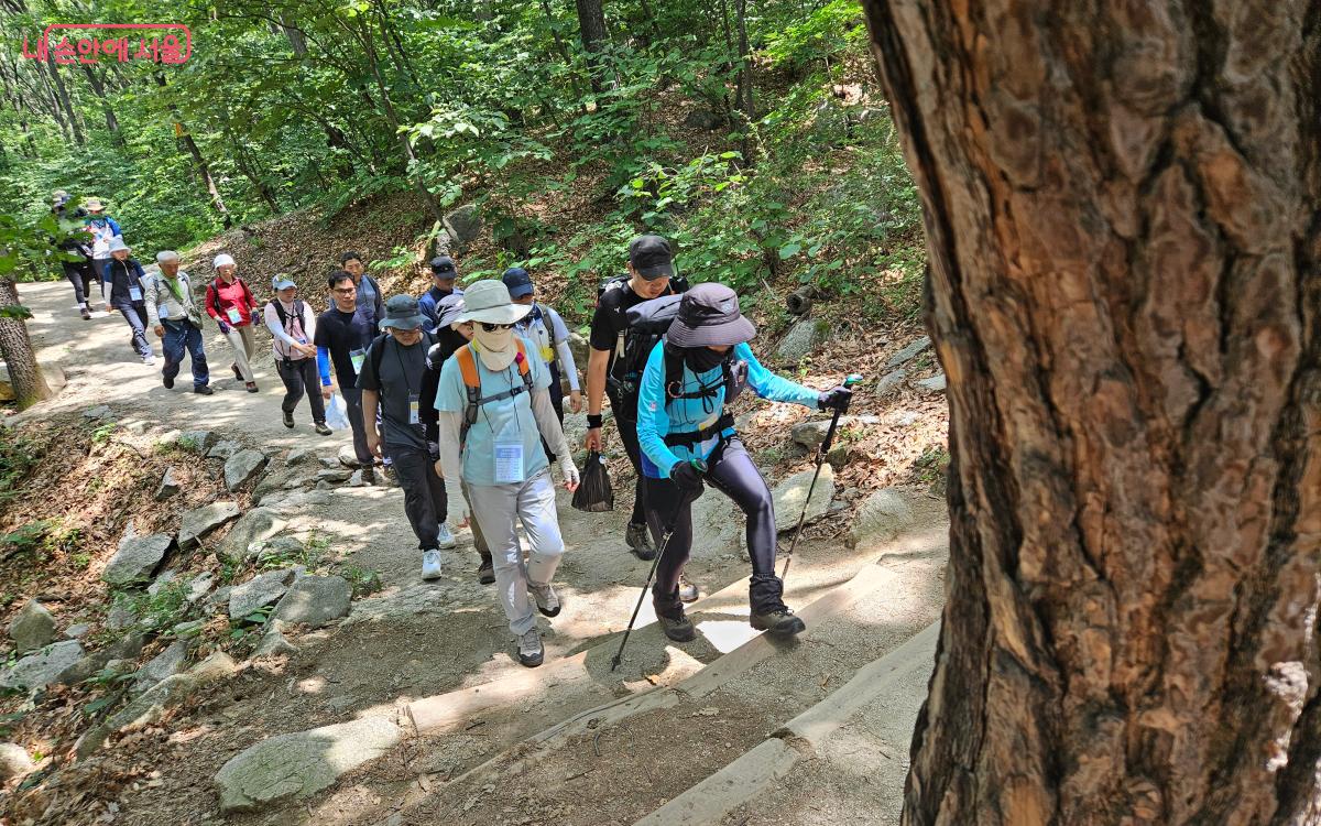 계단을 오르는 펀트레킹 참가자들 ©김준범