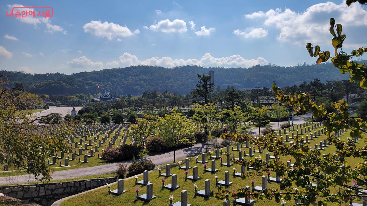 국립서울현충원 국군장병 묘역 전경 ©최용수