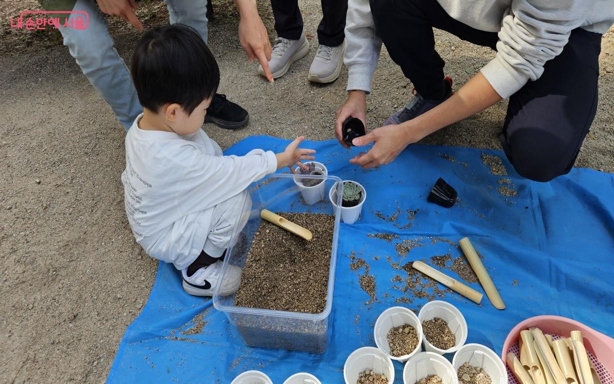 직접 고른 다육이를 화분에 옮기고 흙을 채워주고 있다. ⓒ이선미 