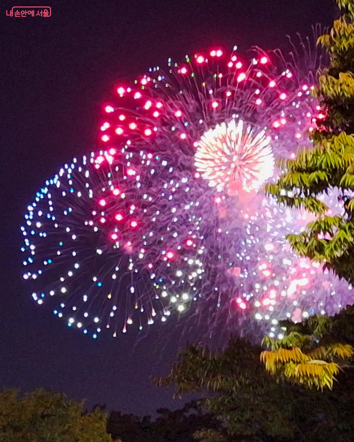 서울세계불꽃축제는 한국을 포함해 세계 각국의 불꽃팀이 참여해, 다채롭고 화려한 불꽃 퍼포먼스를 선보였다. ©이혜숙