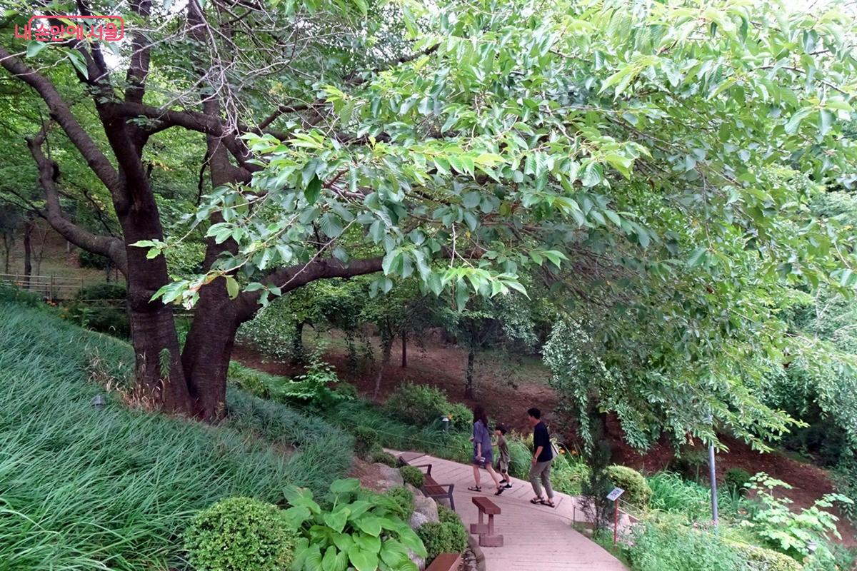 사계절 자연을 오롯이 느낄 수 있는 연희숲속쉼터 ©김종성