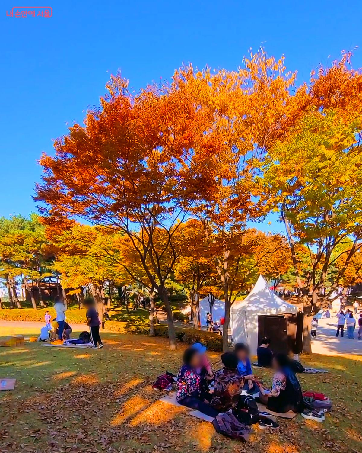 단풍 가득한 선유도공원 ⓒ김민지