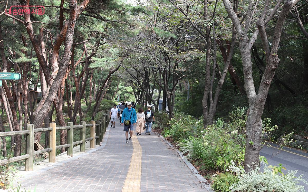 산책로 옆으로 조성된 '사색(四色)의 정원'을 시민들이 감상하며 지나가고 있다. ©정향선