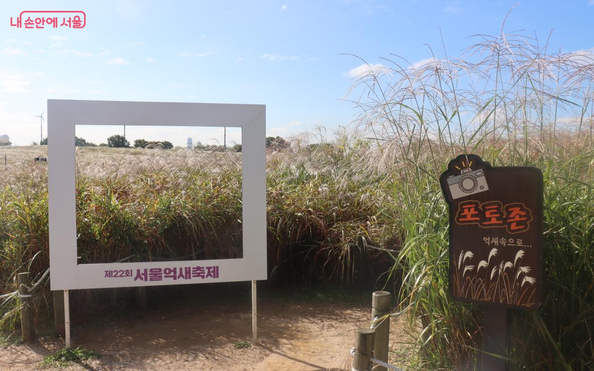 서울억새축제 기간 동안 포토존이 마련돼 기념사진을 남길 수 있다. ©조수연