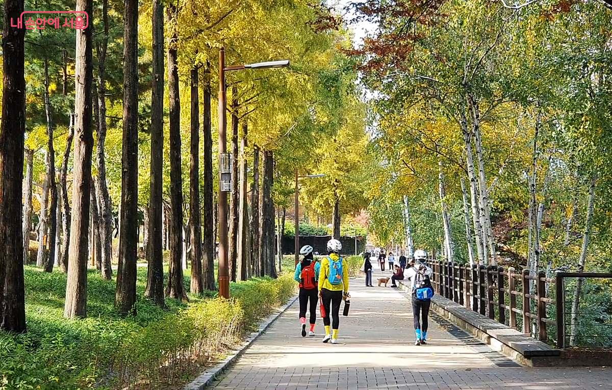 단풍이 곱게 물든 선유도공원의 오솔길을 걷고 있는 시민들을 만날 수 있다. ©오도연 