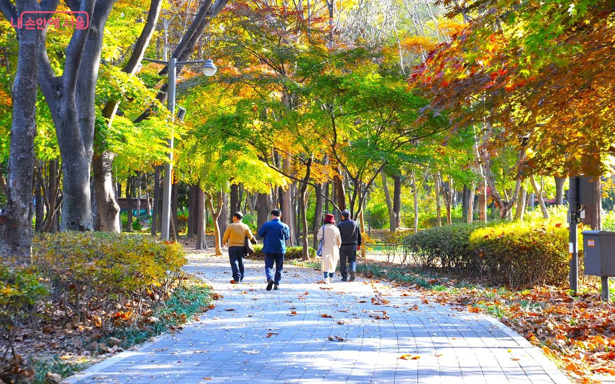 ‘매헌시민의 숲’ 산책로는 서울둘레길 안내센터를 시작으로 윤봉길의사기념관까지 약 1km 거리로 조성됐다. ©조수봉