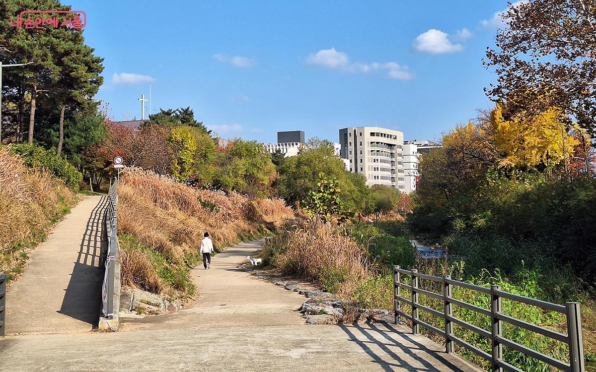  ‘물맞이광장’으로 가는 길의 푸른 하늘과 노란 단풍이 어우러져 아름다웠다. ⓒ정향선