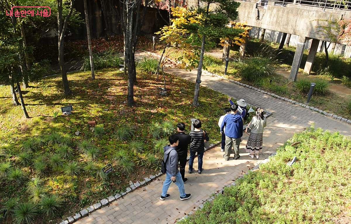 선유도가 정수장으로 사용되던 시절 거대한 콘크리트 물탱크가 나무로 뒤덮여 있다. ©오도연  