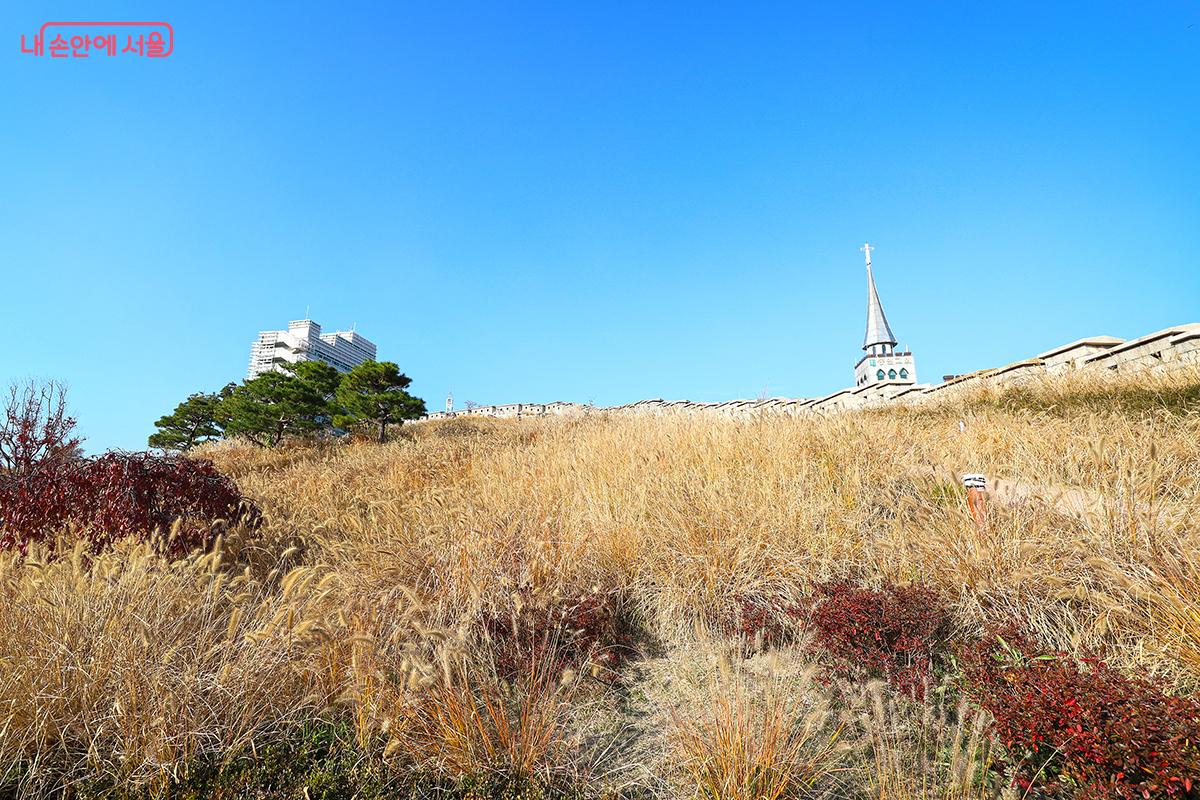 억새가 어우러진 한양성곽길의 가을 풍경이 운치를 더한다. ©김주연