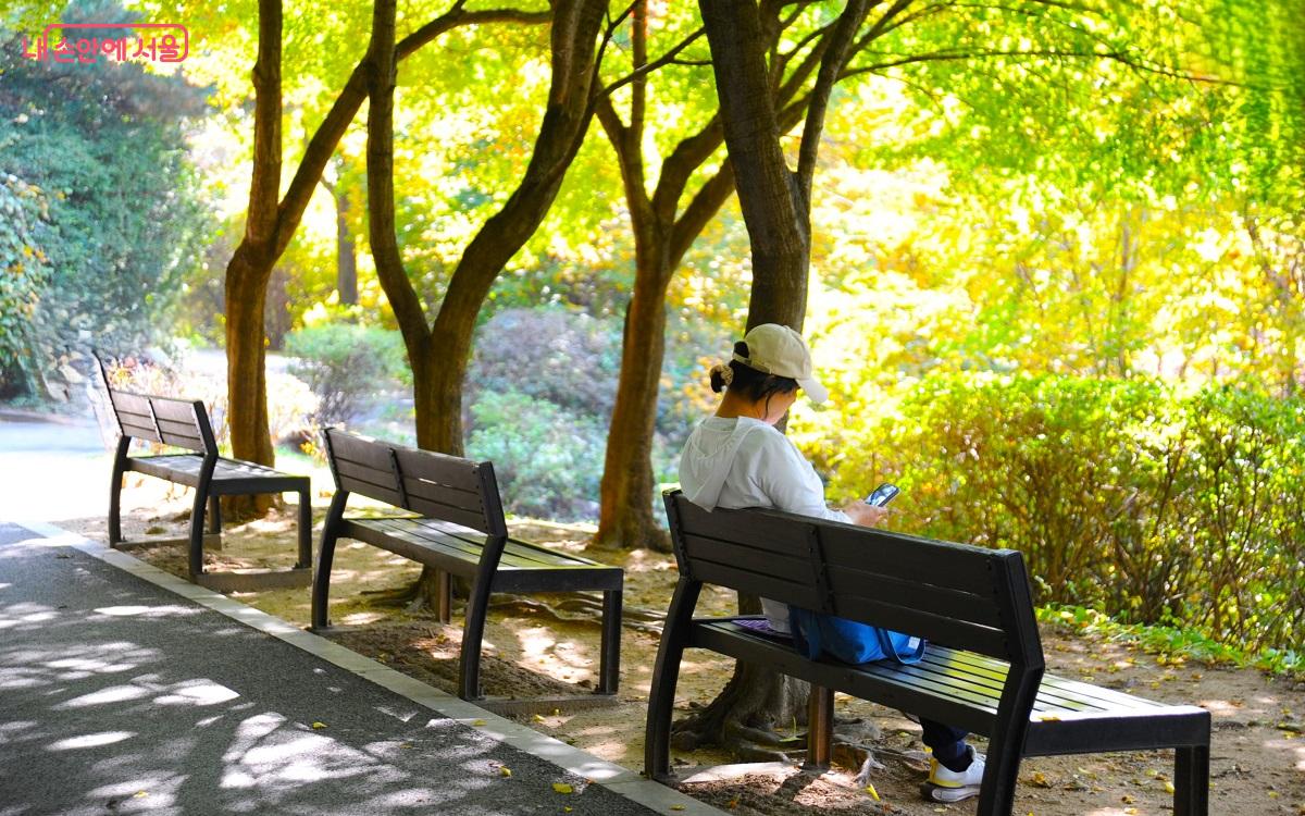 나만의 시간을 즐기기에는 남산둘레길이 최고의 장소다. ©조수봉