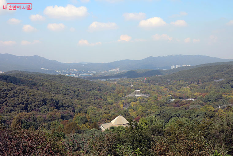 서울대공원 산림욕장길 풍경