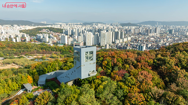 강북구 대규모 녹지공원 북서울꿈의숲이 가을빛으로 물들기 시작했다.
