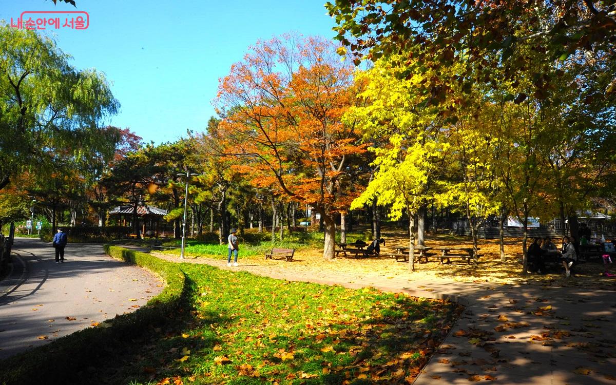 용산가족공원의 산책길은 연못 주변을 에워싸고 조성됐다. ©조수봉