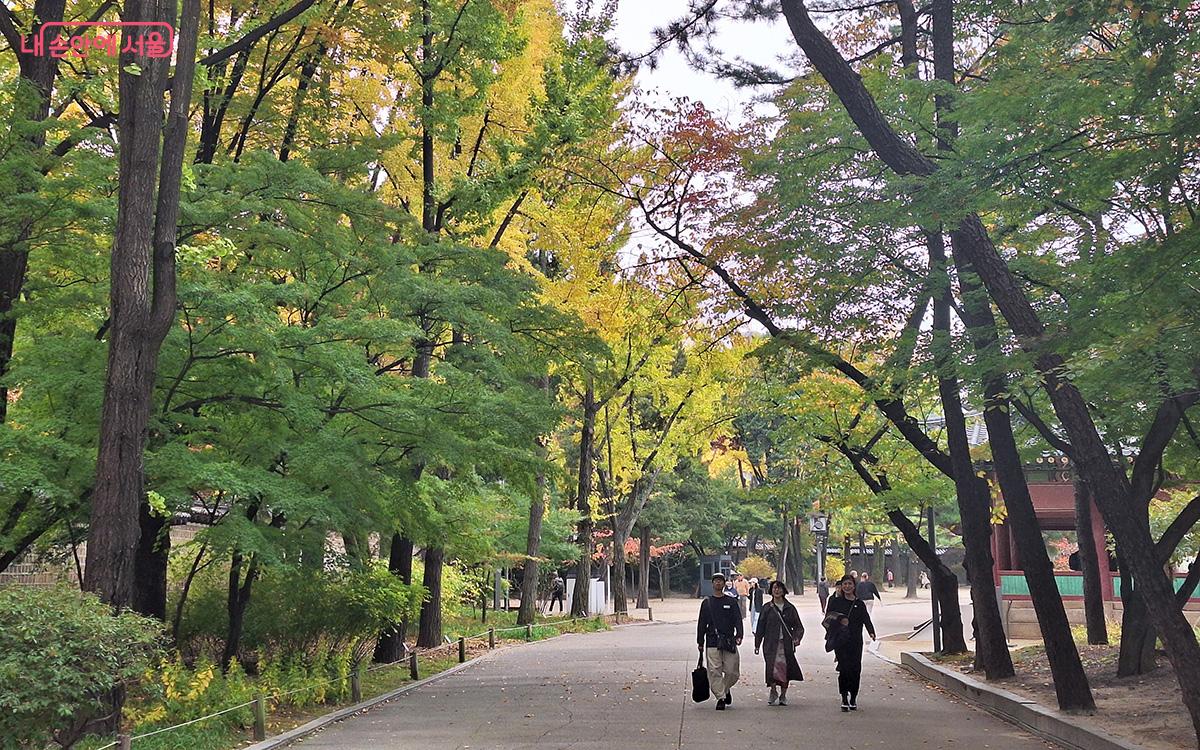 덕수궁에 찾아온 가을을 즐기는 시민들의 모습이 평화로워 보인다. ©이혜숙