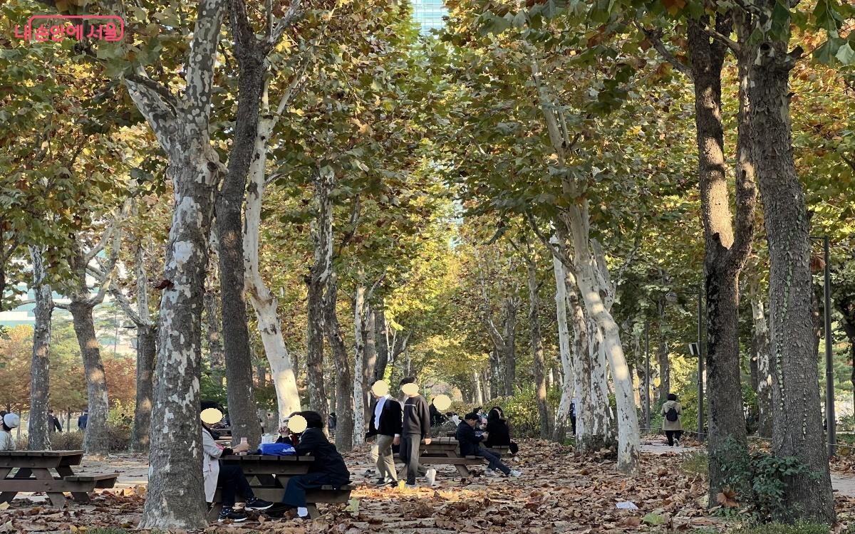 직접 보면 낙엽과 공간이 주는 느낌이 더 비현실적으로 멋있다. ©박지영  