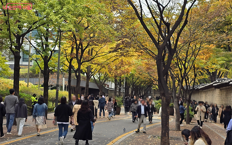 가을이 제철인 덕수궁 돌담길 ⓒ김대진