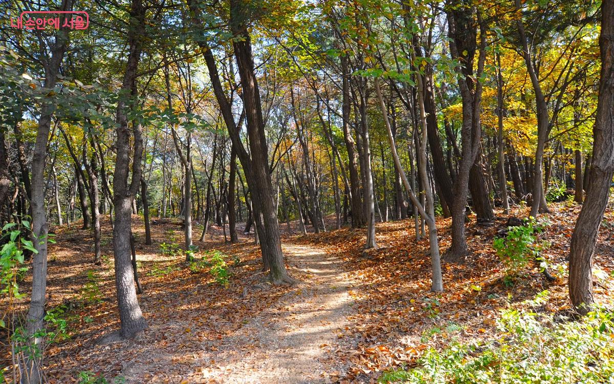 ‘오현로20길’에서는 ‘북서울꿈의숲 둘레길’과도 쉽게 연결된다. ©조수봉