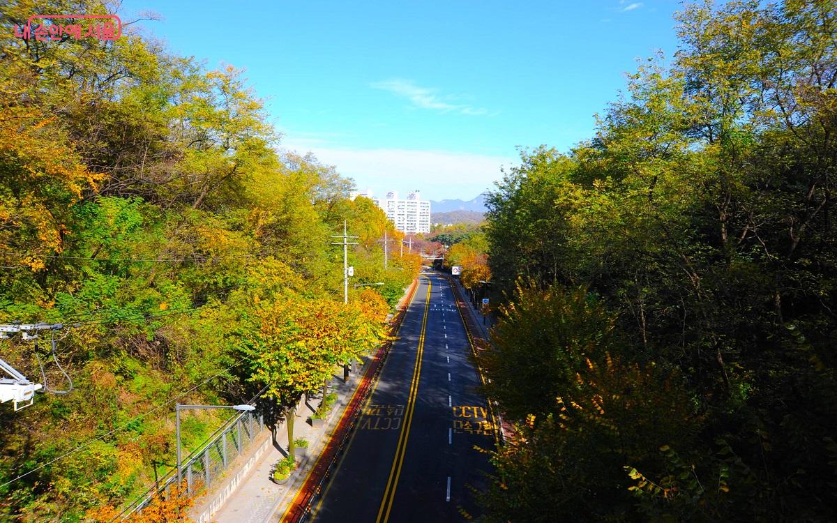 ‘오동교’ 위에서 바라다본 ‘강북구 오현로20길’ ©조수봉