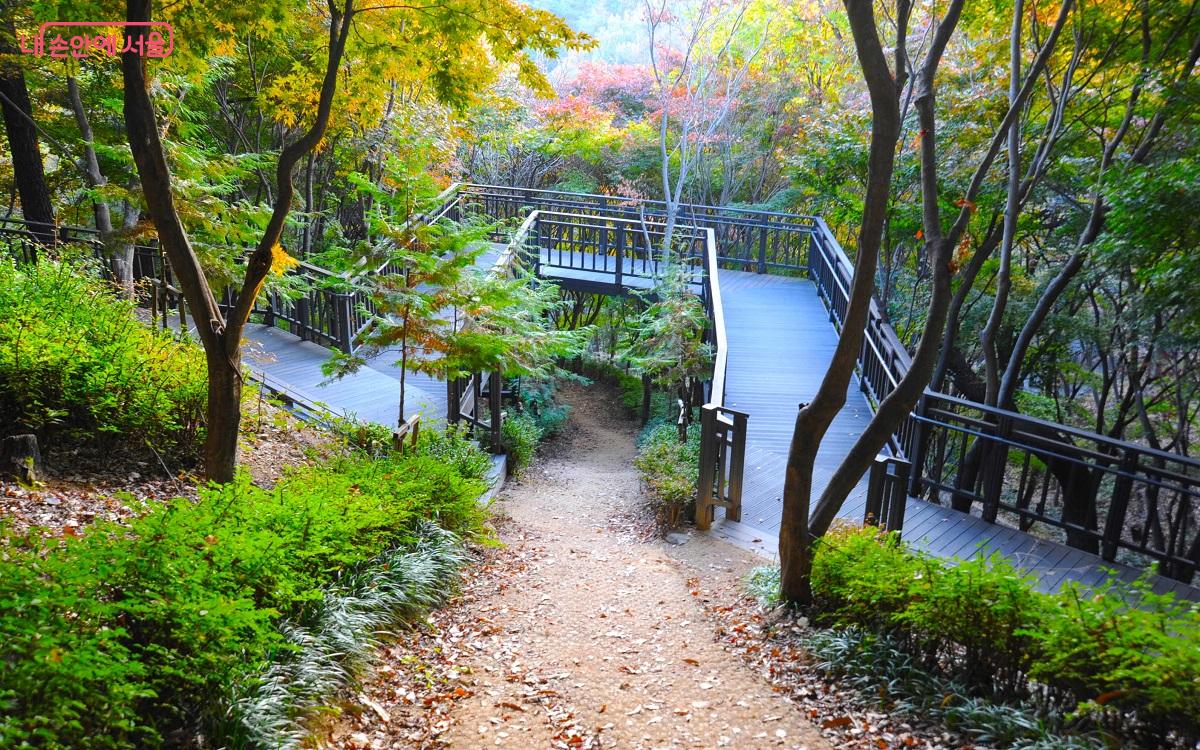 편백나무숲의 데크 길은 일반 산책로와도 유기적으로 연결돼 탐방이 편리하다. ©조수봉