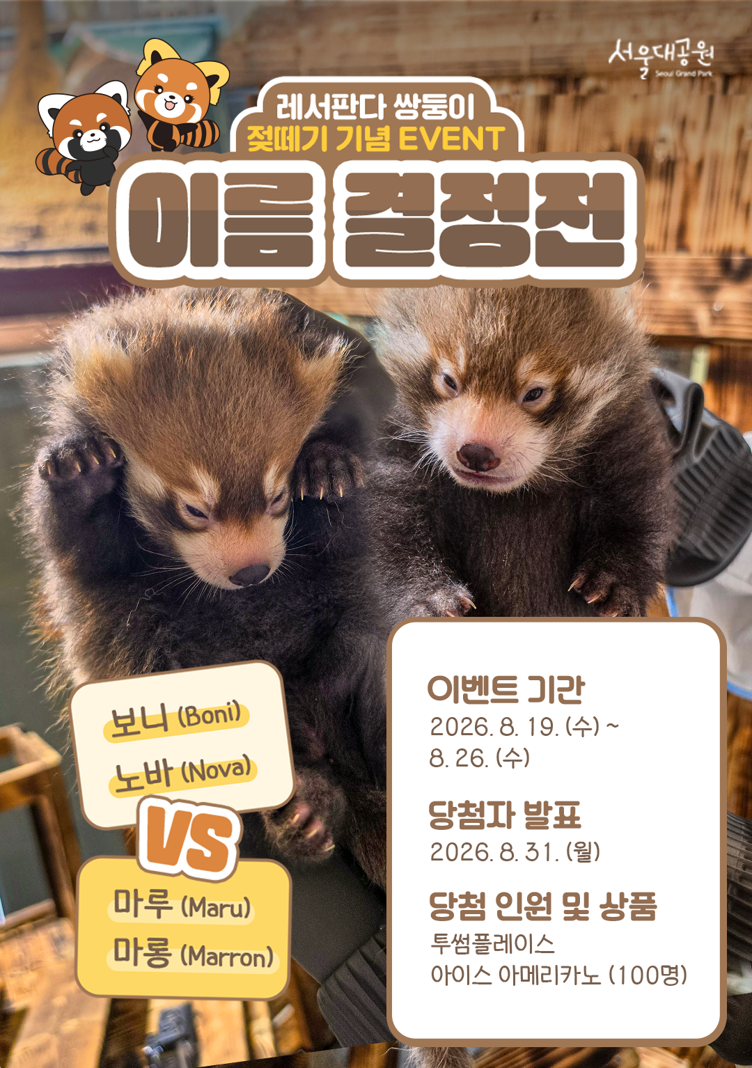 레서판다 쌍둥이 젖떼기 기념 EVENT 이름 결정전 보니(Boni) 노바 (Nova) VS 마루(Maru) 마롱(Marron) 이벤트 기간 2026. 8. 19. (수) ~ 8. 26. (수) 당첨자 발표 2026. 8. 31. (월) 당첨 인원 및 상품 투썸플레이스 아이스 아메리카노 (100명)