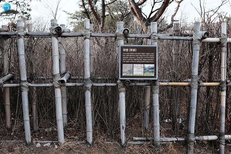 말바위 안내소로 가는 길에 조선시대의 독특한 조경 기법인 ‘취병’을 볼 수 있다. ‘취병’은 식물로 만든 친환경 울타리를 말한다. ⓒ김아름