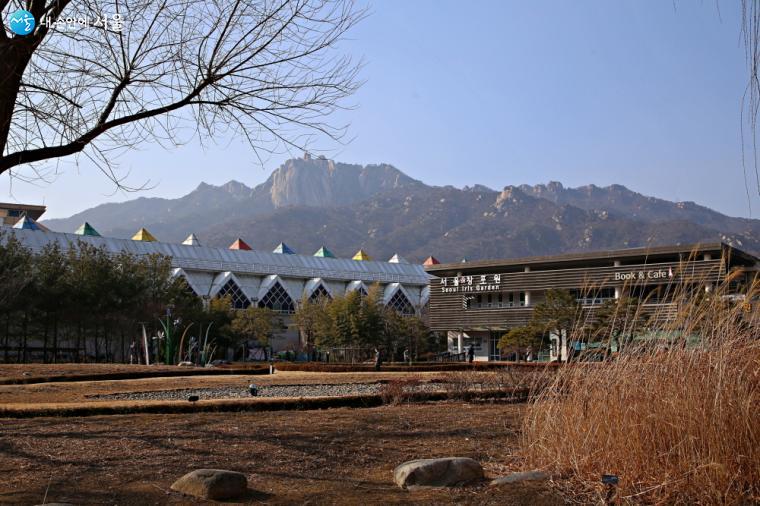 아직 잔설이 남아 있는 창포원에도 봄이 오고 있다. ⓒ이선미 