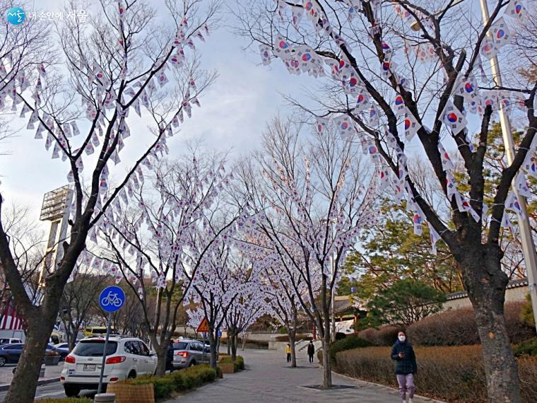 효창공원 앞 나무 28그루가 태극기 나무가 되었다.