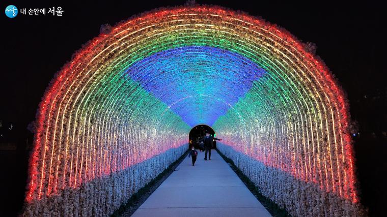 노원불빛정원의 신비로운 불빛터널 전경