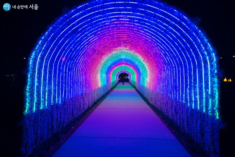 화랑대 철도공원이 불빛정원으로 변신한 빛의 터널이다. 다양한 불빛 연출로 걸어가는 시민을 감탄하게 한다 Ⓒ김인수
