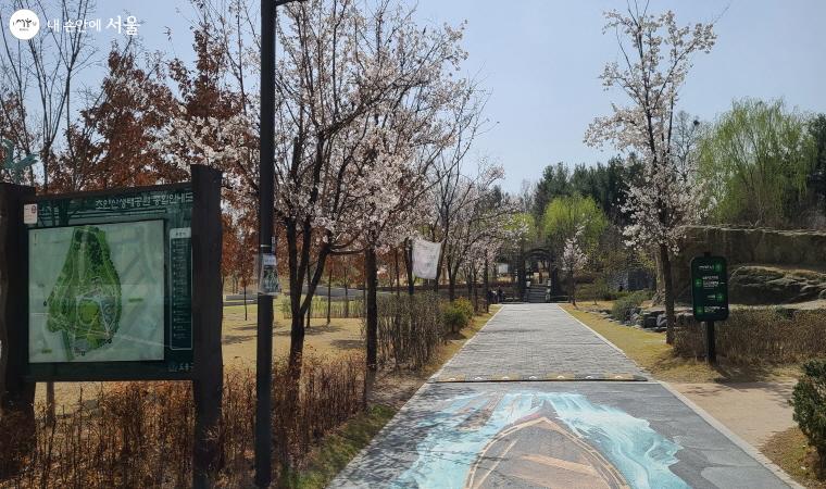 서울 북부의 초대형 공원인 초안산 근린공원에 다양한 시설이 많다.