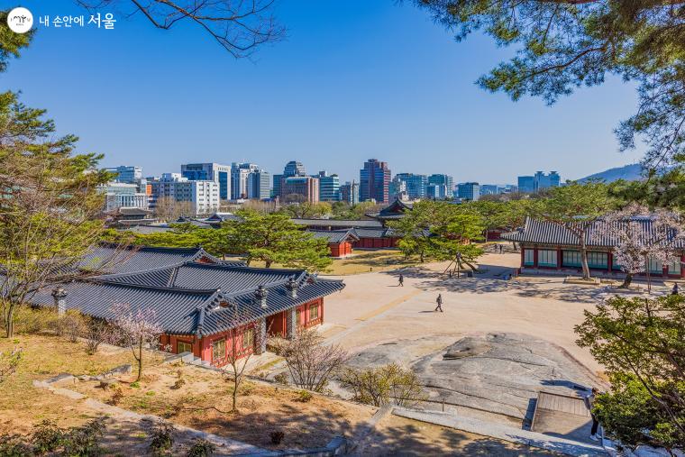 언덕 위에서 바라본 창경궁 전경. 서울 도심의 빌딩 속에 역사 공간이자 도심의 허파 역할을 하는 녹지 공간으로 남아있는 창경궁은 소중한 우리의 문화유산이다 ⓒ양인억