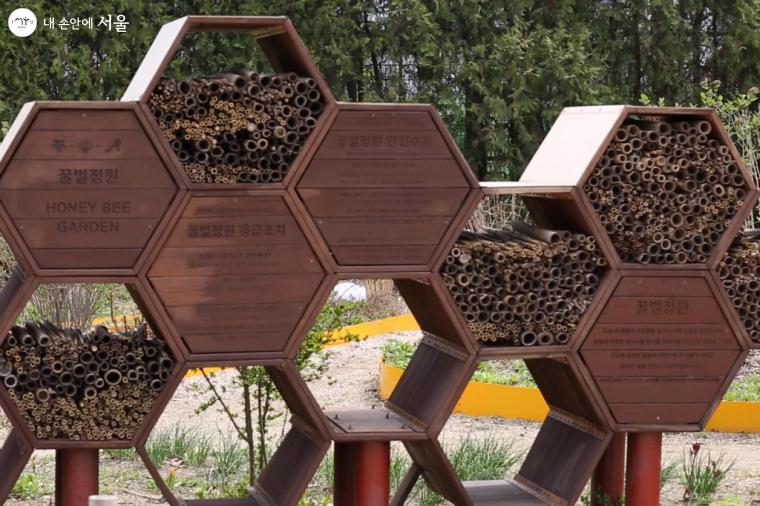 꿀벌정원에 벌집모양의 나무로 만든 설치물이 있다 ⓒ문청야
