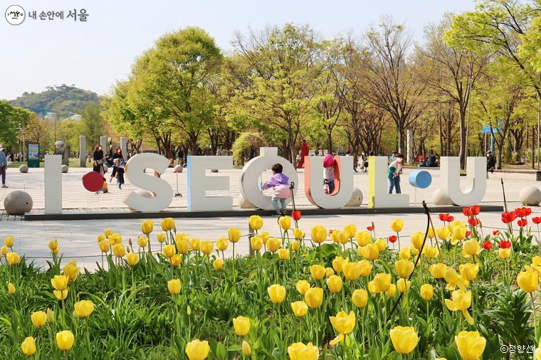 서울의 대표 봄꽃 명소 서울숲, 초입부터 활짝 핀 튤립이 방문객을 맞이한다