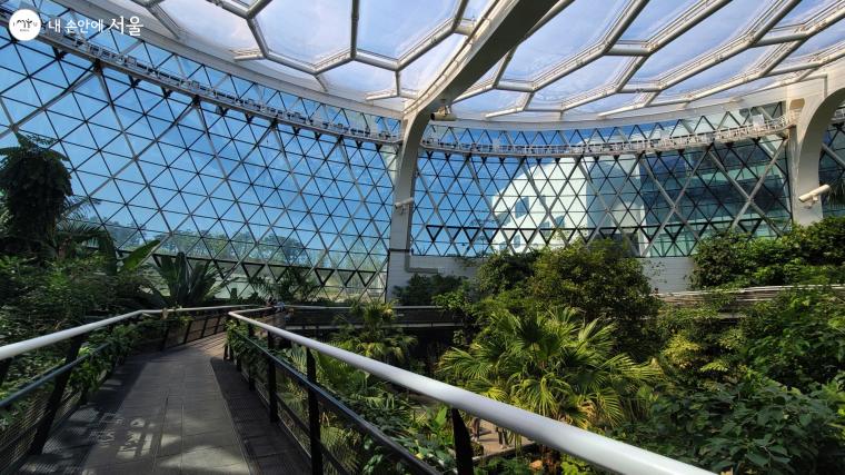벌집 모양의 지붕과 스카이워크가 보이는 서울식물원 온실