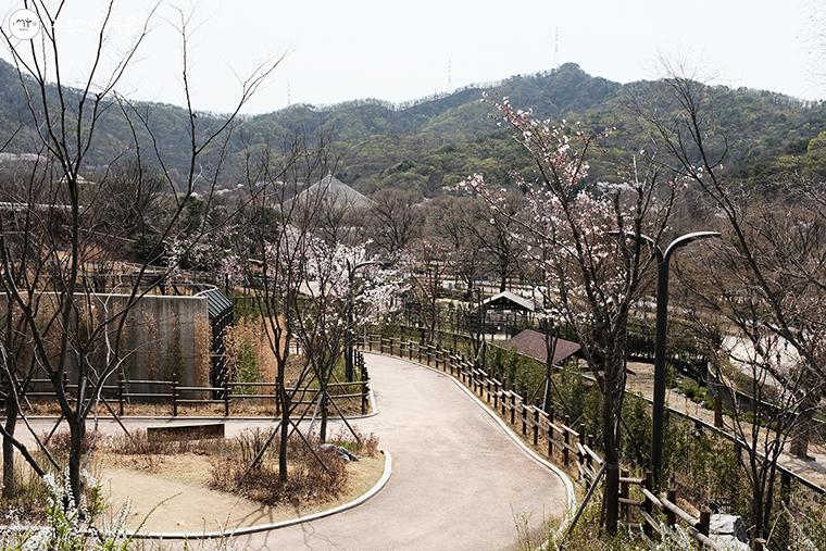 아름답게 조성된 서울동물원 전경 ⓒ김아름