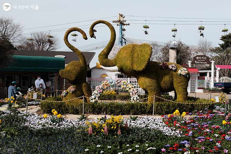 장미원을 비롯하여 형형색색의 꽃들로 가득한 화원과 어린이동물원이 함께 있는 ‘테마가든’ ⓒ김아름