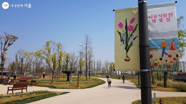 서울식물원 산책로의 봄꽃길을 알리는 표지판