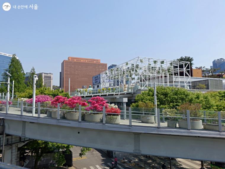 러닝러닝센터 러너들이 달릴 서울로7017은 손기정 체육공원과 남산을 잇는 길이기도 하다. ⓒ이선미 