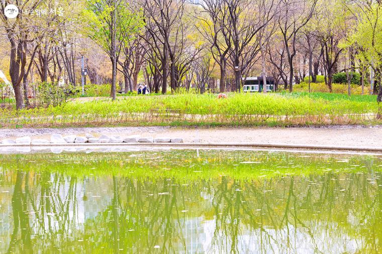 서울숲 중앙호수 주변은 연둣빛 새싹에 물이 올라 더없이 평화로운 풍경이다 ⓒ문청야