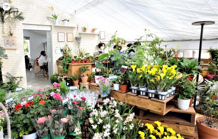 ‘노원 정원지원센터’에서는 각종 식물도 구매할 수 있다 ⓒ조수봉