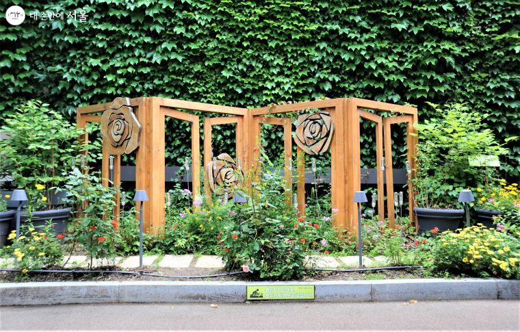 포토존으로 인기 있는 ‘장미사진관 정원’ ⓒ조수봉