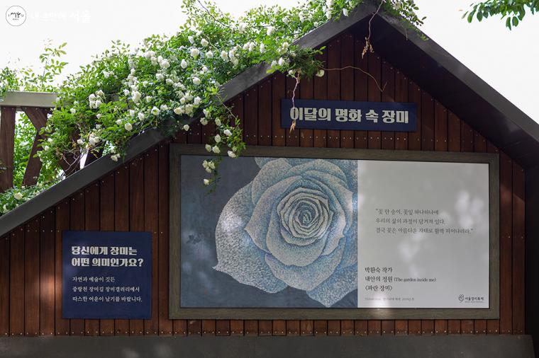 이달의 명화 속 장미는 박환숙 작가의 내안의 정원<파란 장미>이다 ©문청야