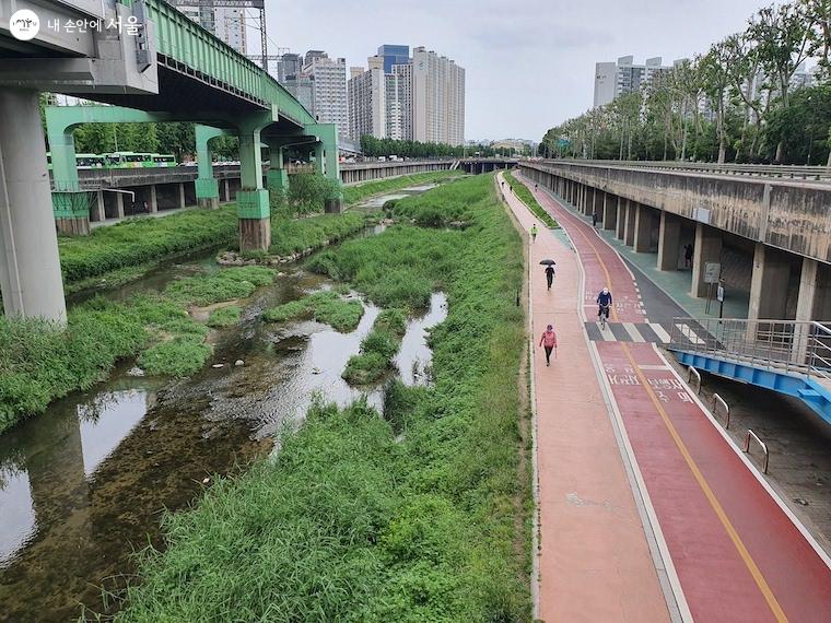  영등포구와 구로구를 지나는 도림천은 집중호우에 취약해 안전관리가 강화되는 추세다.  ​  ﻿