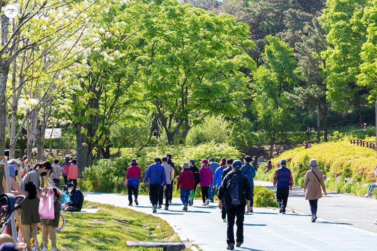 중앙잔디광장 주변으로 600m 트랙이 있는데 사계절 이 트랙을 돌며 운동하는 시민들을 볼 수 있다ⓒ문청야