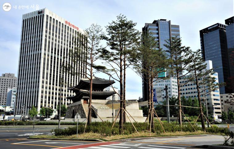 숭례문 인근 교통섬에 소나무를 식재하여 숭례문과 어울리는 ‘송림거리’를 조성하였다 ⓒ조수봉