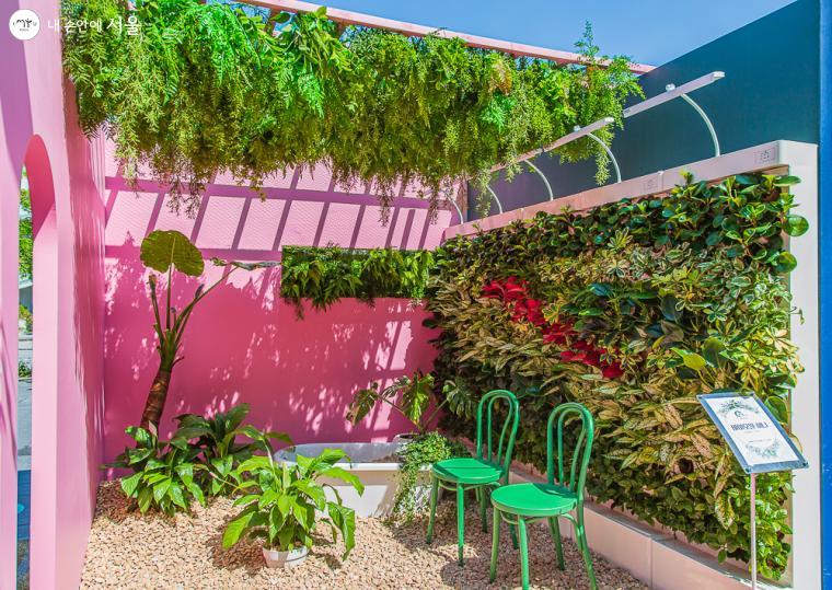 '관리하기 쉬운 4색 정원', 욕실 벽면의 공기 정화 식물 '바이오월허니'
