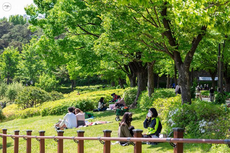 보고만 있어도 눈이 시원해지는 푸르는 나무 아래 잔디에 앉아 담소를 즐기는 시민들ⓒ문청야