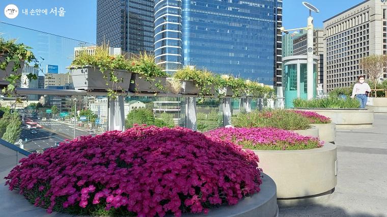 서울로7017 위에 조성된 꽃밭에서는 다양한 행사가 진행된다 ⓒ이봉덕