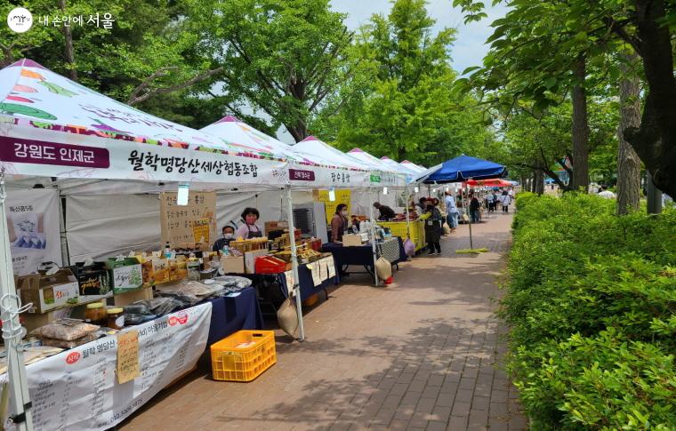 지역 농부들이 생산한 우리 농산물을 만나는 '서울시 농부의 시장'이 26일 개장했다.