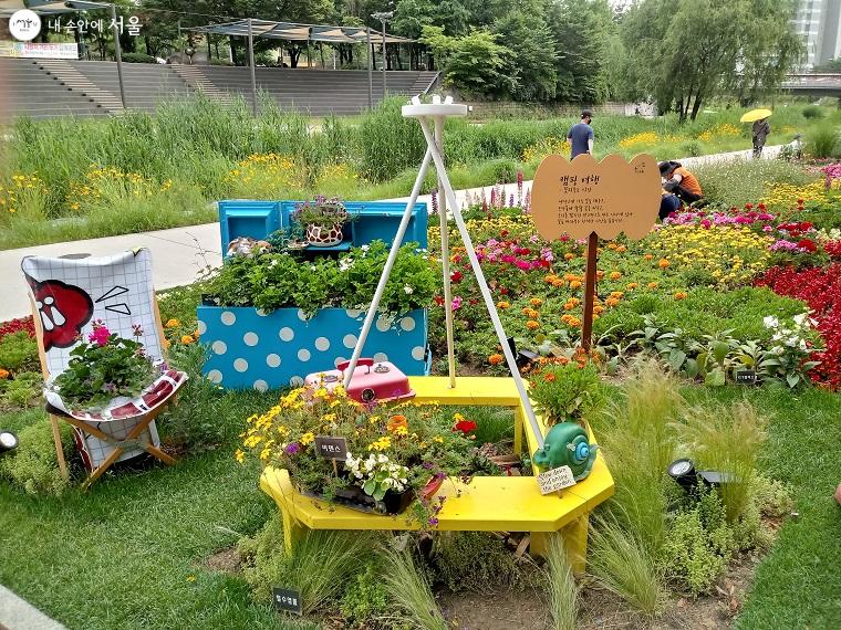 당현천 꽃길, 마치 꽃밭으로 캠핑을 나온 듯한 느낌이다. 